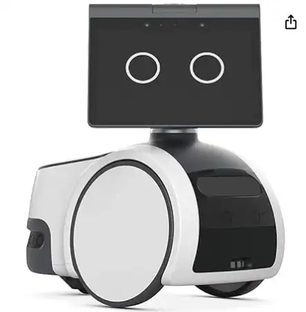 Amazon Astro, Household Robot